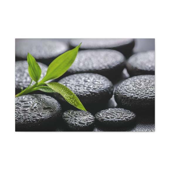 Bamboo on Zen Basalt Forest Floral Nature Photography Canvas Wall Art for Home D